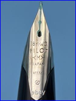 1974 Pilot Custom Sterling Silver Fountain Pen 18K White Gold M Nib H1174 Rare