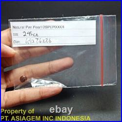 2.45ct 6.4mm Natural Wild Pen Penn Pinna Pearl Rare Non Cultured