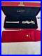 Cartier_Panther_Exceptional_Limited_Edition_Sterling_Silver_FP_18K_M_Nib_Rare_01_qzph