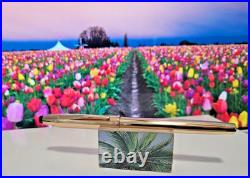 Cross rare 14k rolled gold fountain pen new old usa Lincoln RI stock from 90 s