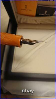 Delta Fountain Pen Rare Dolce Vita Prodigio Celluloid Nib Gold 18K Broad