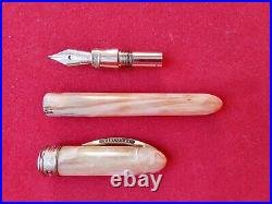 Exquisite VISCONTI FIRENZE RARE Fountain Pen VAN GOGH Vanilla White Nib F ITALY