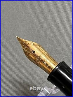 NEW Platinum Rare Early Model 3776 Gathered Fountain Pen Transparent Japan