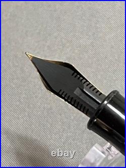 NEW Platinum Rare Early Model 3776 Gathered Fountain Pen Transparent Japan