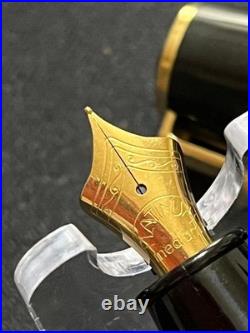 NEW Platinum Rare Glamour Fountain Pen Japan