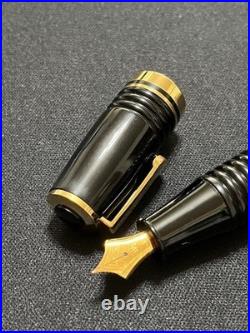 NEW Platinum Rare Glamour Fountain Pen Japan