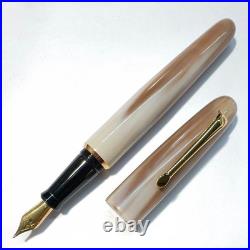 NEW Rare Item Natural Material Buffalo Horn Barrel B Fountain Pen Transparent