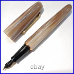 NEW Rare Item Natural Material Buffalo Horn Barrel B Fountain Pen Transparent