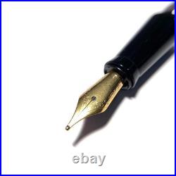 NEW Rare Item Natural Material Buffalo Horn Barrel B Fountain Pen Transparent