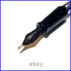 NEW Rare Item Natural Material Buffalo Horn Barrel B Fountain Pen Transparent