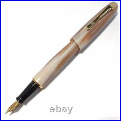 NEW Rare Item Natural Material Buffalo Horn Barrel B Fountain Pen Transparent