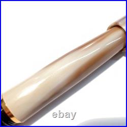 NEW Rare Item Natural Material Buffalo Horn Barrel B Fountain Pen Transparent