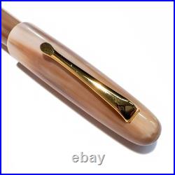 NEW Rare Item Natural Material Buffalo Horn Barrel B Fountain Pen Transparent