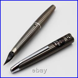 NOS Rare PILOT MYU Stripe Fountain Pen Silver Black M nib vintage 1970s withbox