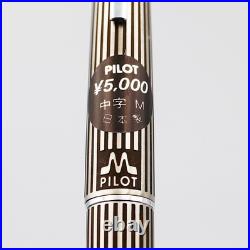 NOS Rare PILOT MYU Stripe Fountain Pen Silver Black M nib vintage 1970s withbox