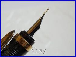 Near MINT Stipula Iris fountain pen Nib B with original Box from Japan RARE Near MINT Stipula Iris fountain pen Nib B with original Box from Japan RARE
