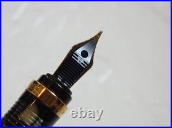 Near MINT Stipula Iris fountain pen Nib B with original Box from Japan RARE Near MINT Stipula Iris fountain pen Nib B with original Box from Japan RARE
