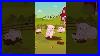 New_Erasable_Pens_Welcome_To_The_Farm_Erasablepens_01_pd