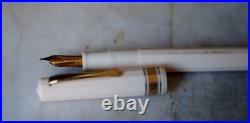 Omas Fountain Pen National Library Edition 18 Carat Solid Gold Nib Rare