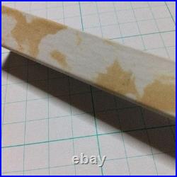 PILOT DESK PEN 14K NIB Vintage Japanmade Authentic Black Ink Rare collectible