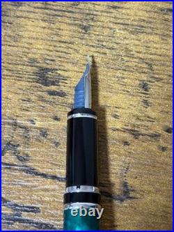 PILOT Forest Green 14K Gold Nib Size F Deep Nature 2013 Limited japan used rare