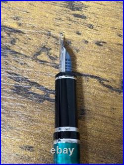 PILOT Forest Green 14K Gold Nib Size F Deep Nature 2013 Limited japan used rare