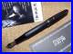 PLATINUM_3776_Higo_Zogan_Sakura_Fountain_Pen_M_Nib_Authentic_Rare_Limited_01_cffl