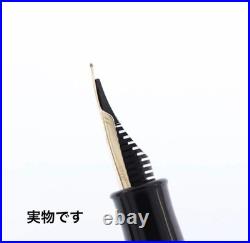 PLATINUM #3776 Higo Zogan Sakura Fountain Pen M Nib Authentic Rare Limited