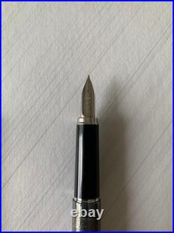 PLATINUM Fountain Pen 18K WG Nib Rare