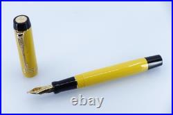 Parker Fountain Pen Mandarin Limited Edition Rare NOS, Full Set