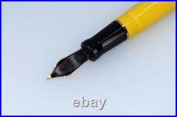 Parker Fountain Pen Mandarin Limited Edition Rare NOS, Full Set