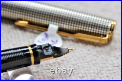 Parker Premier Fountain Pen Sterling Silver 18k Fine Oblique Italic Rare Nib
