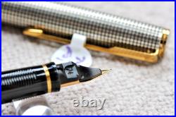 Parker Premier Fountain Pen Sterling Silver 18k Fine Oblique Italic Rare Nib