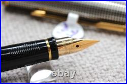 Parker Premier Fountain Pen Sterling Silver 18k Fine Oblique Italic Rare Nib