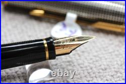 Parker Premier Fountain Pen Sterling Silver 18k Fine Oblique Italic Rare Nib