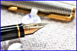 Parker Premier Fountain Pen Sterling Silver 18k Fine Oblique Italic Rare Nib