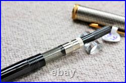 Parker Premier Fountain Pen Sterling Silver 18k Fine Oblique Italic Rare Nib
