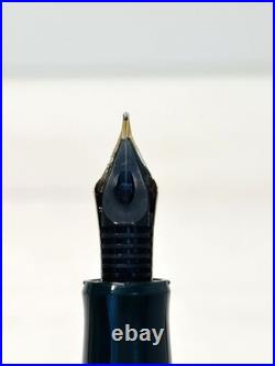 Pilot Custom 74 Dark Green Fountain Pen 14K SM Nib B395 Rare Color Japan