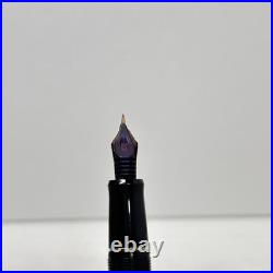 Pilot Custom Legance Marbled Red Fountain Pen 14K SFM Nib Super Rare Japan