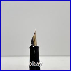 Pilot Custom Legance Marbled Red Fountain Pen 14K SFM Nib Super Rare Japan