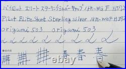Pilot Elite Sterling Silver Grid Fountain Pen 18KWG Fine (F) Nib H372 Japan Rare