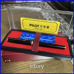 Pilot fountain pen new Japan Import Rare