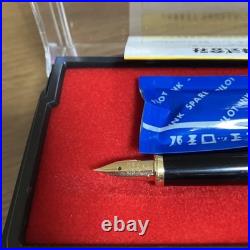 Pilot fountain pen new Japan Import Rare