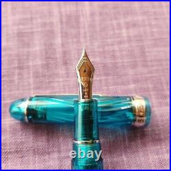 Platinum # 3776 Century KUMPOO 14K Fountain Pen M Nib Rare Mint From Japan