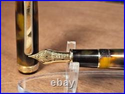 Platinum 3776 Fountain Pen 18k Gold FINE Nib Tortoise Shell RARE FREE SHIPPING
