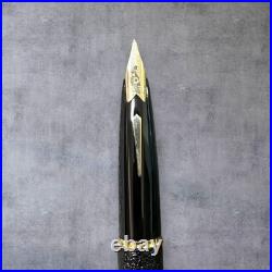 Platinum Fountain Pen 14K Fine Nib Rare Unused Black Retro Office