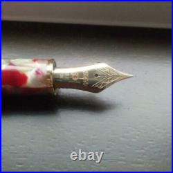 Platinum Fountain Pen Very Rare #3776 Century Goldfish Celluloid Nib 18K Fine