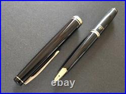 Platinum Fountain pen Pocket'60s Nib F 18K Rare Tuned by a renowned engineer