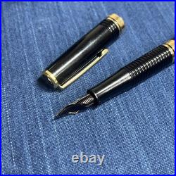 Platinum Japanes Vintage Fountain Pen #3776 Fine Nib 14K Rare