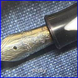 Platinum Japanes Vintage Fountain Pen #3776 Fine Nib 14K Rare